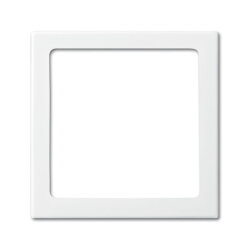 Busch-Jaeger 2562-914 Zentralscheibe