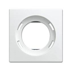 Busch-Jaeger 1756-914 Zentralscheibe