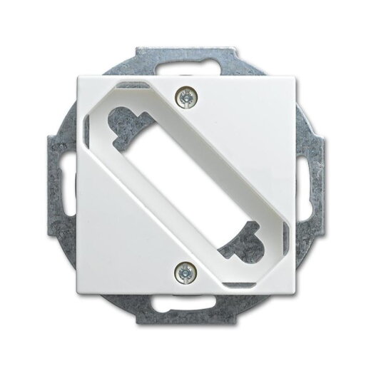 Busch-Jaeger 2549-914 Zentralscheibe