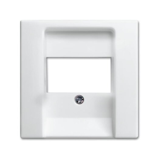 Busch-Jaeger 2539-914 Zentralscheibe