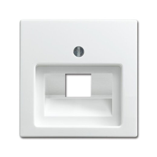 Busch-Jaeger 1803-914 Zentralscheibe