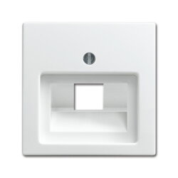 Busch-Jaeger 1803-914 Zentralscheibe