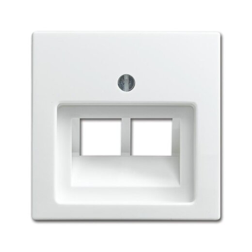 Busch-Jaeger 1803-02-914 Zentralscheibe