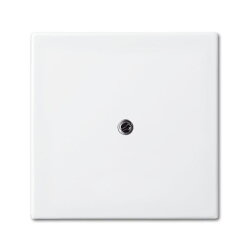 Busch-Jaeger 2536-914 Zentralscheibe