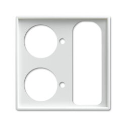 Busch-Jaeger 1790-593-914 Zentralscheibe