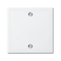 Busch-Jaeger 1796-914 Zentralscheibe