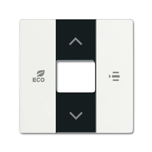 Busch-Jaeger 6236-884 Zentralscheibe