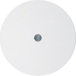 Berker Zentralstück M310192089 polarweiss glaenzend