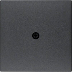 Berker Zentralstück M310191606 anthrazit matt