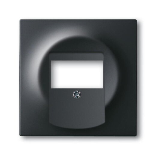 Busch-Jaeger 1766-775 Zentralscheibe