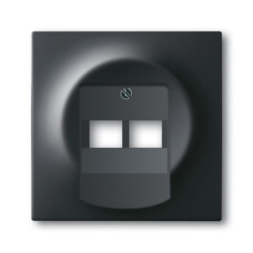 Busch-Jaeger 1803-02-775 Zentralscheibe