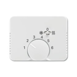 Busch-Jaeger 1795 HKEA-24G Zentralscheibe