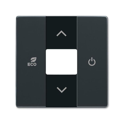 Busch-Jaeger 6235-81 Zentralscheibe