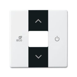 Busch-Jaeger 6235-84 Zentralscheibe