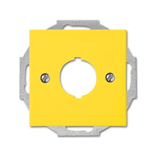 Busch-Jaeger 2533-914-15 22,5mm gelb Zentralscheibe