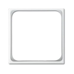 Busch-Jaeger 1746-914-101 50x50 DIN 49075 Zentralscheibe