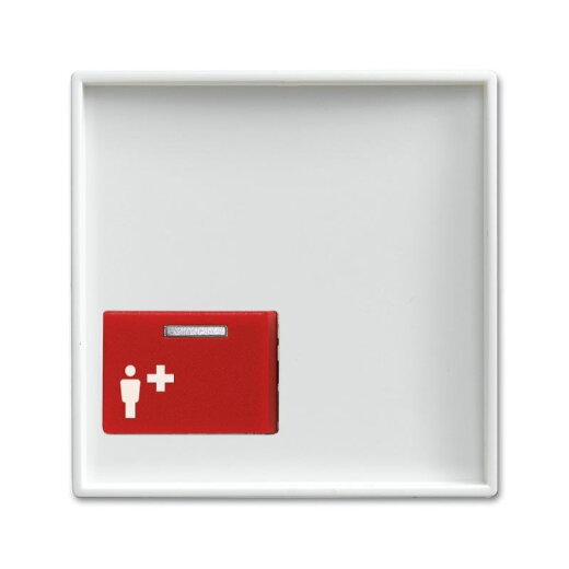 Busch-Jaeger 2548-022 A-914 Zentralscheibe