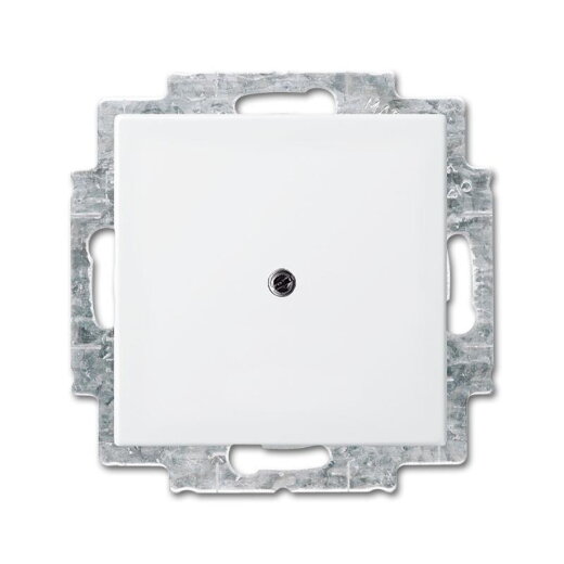 Busch-Jaeger 2538-914 Zentralscheibe