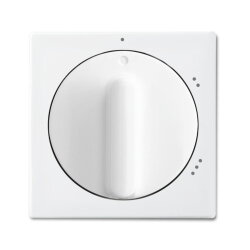 Busch-Jaeger 2542 DR/02-914 Zentralscheibe