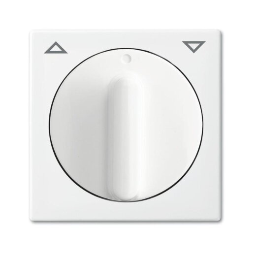 Busch-Jaeger 2542 DR-914 Zentralscheibe