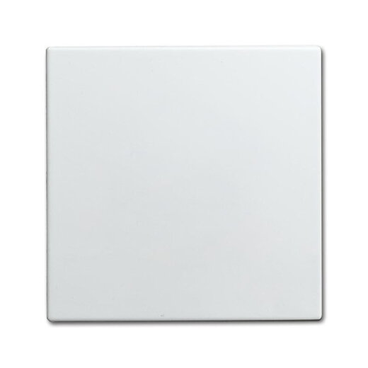 Busch-Jaeger 1576 C-914 Zentralscheibe