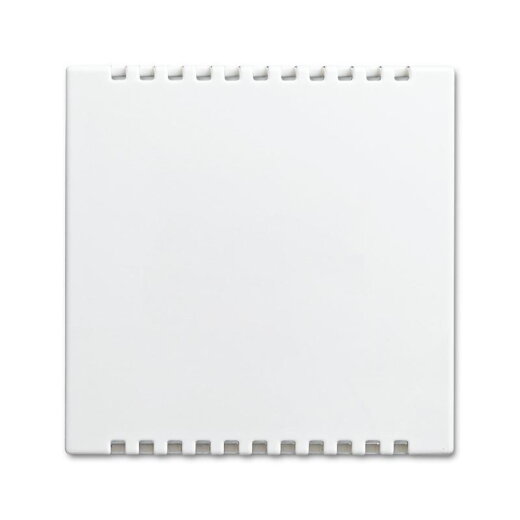 Busch-Jaeger 2114-914 Zentralscheibe