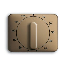 Busch-Jaeger 1771-21-101 Zentralscheibe