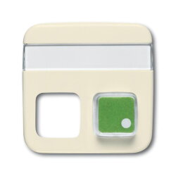 Busch-Jaeger 1572 CN-212 Zentralscheibe