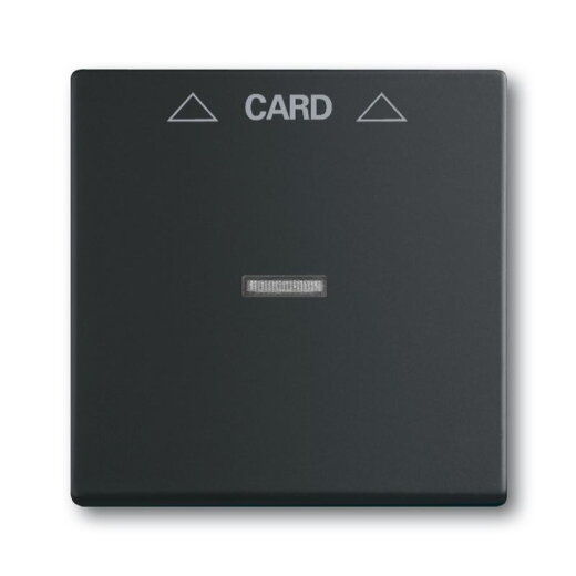 Busch-Jaeger 1792-885 Zentralscheibe