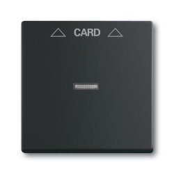 Busch-Jaeger 1792-885 Zentralscheibe