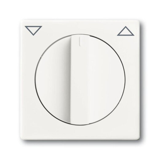 Busch-Jaeger 1740-884 Zentralscheibe