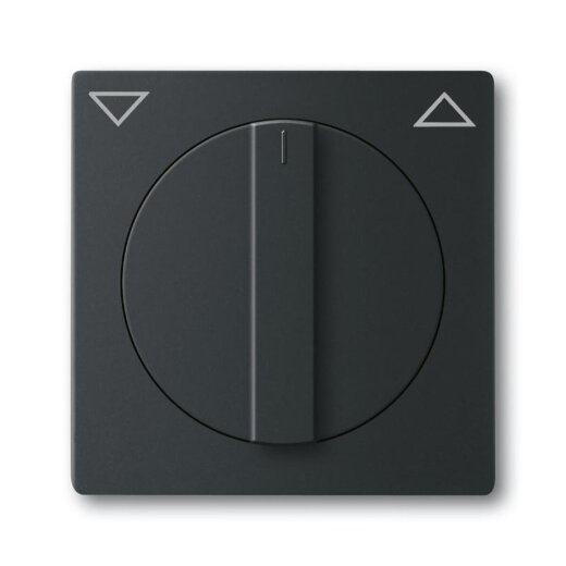 Busch-Jaeger 1740-885 Zentralscheibe