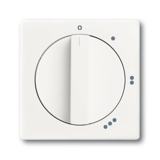 Busch-Jaeger 2542 DR/01-884 Zentralscheibe