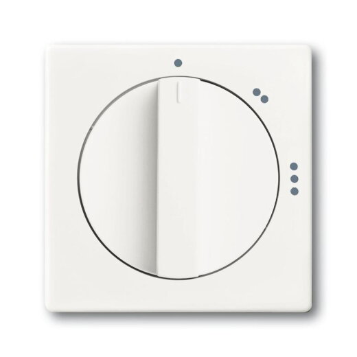 Busch-Jaeger 2542 DR/02-884 Zentralscheibe