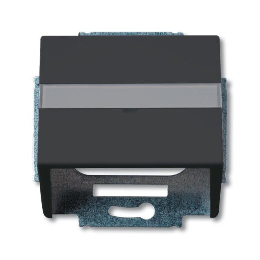 Busch-Jaeger 1758-885 Zentralscheibe