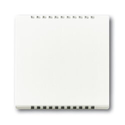 Busch-Jaeger 6541-884 Zentralscheibe