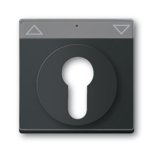 Busch-Jaeger 1755 SL/PZ-885-101 Zentralscheibe