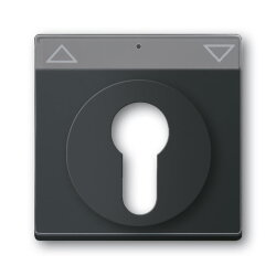 Busch-Jaeger 1755 SL/PZ-885-101 Zentralscheibe