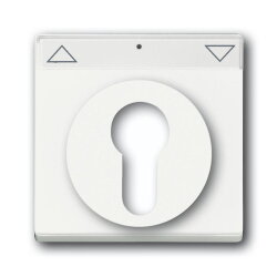 Busch-Jaeger 1755 SL/PZ-884-101 Zentralscheibe