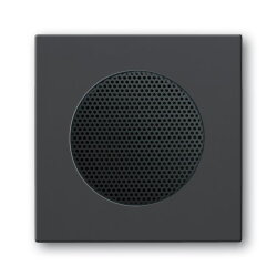 Busch-Jaeger 8253-81 Zentralscheibe