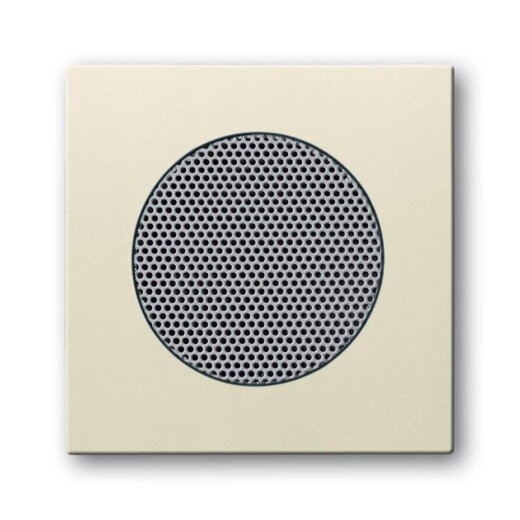 Busch-Jaeger 8253-82 Zentralscheibe