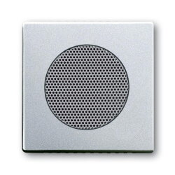 Busch-Jaeger 8253-83 Zentralscheibe