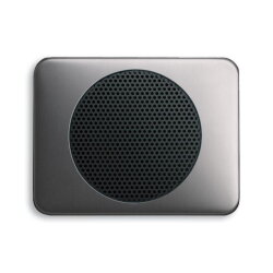 Busch-Jaeger 8253-20 Zentralscheibe