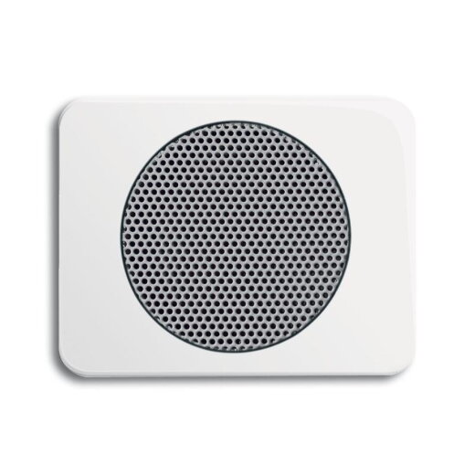 Busch-Jaeger 8253-24G Zentralscheibe