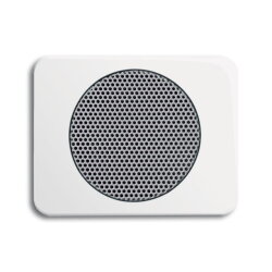 Busch-Jaeger 8253-24G Zentralscheibe