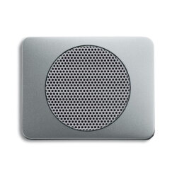 Busch-Jaeger 8253-266 Zentralscheibe