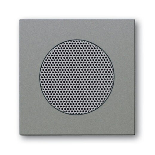 Busch-Jaeger 8253-803 Zentralscheibe