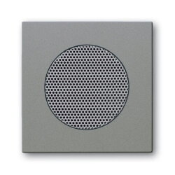 Busch-Jaeger 8253-803 Zentralscheibe