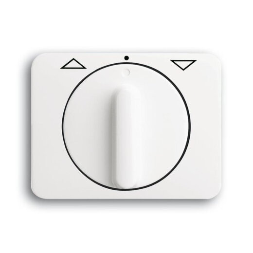 Busch-Jaeger 1740 DR-24G alpha nea Zentralscheibe