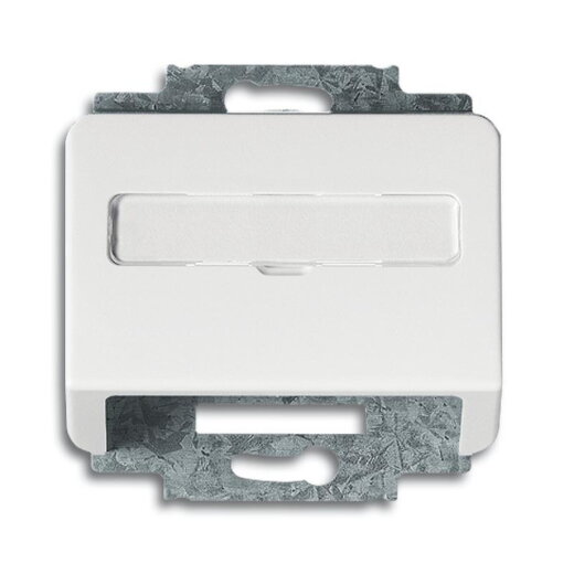 Busch-Jaeger 1758-24G alpha nea Zentralscheibe